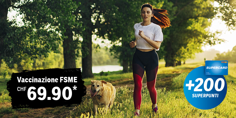 FSME