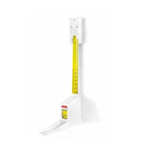 , immagine principale