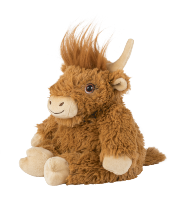 , immagine principale