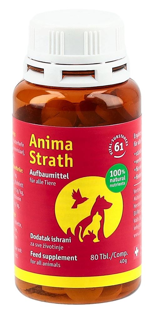 Image of Anima Strath Aufbautabletten Ds 80 Stk