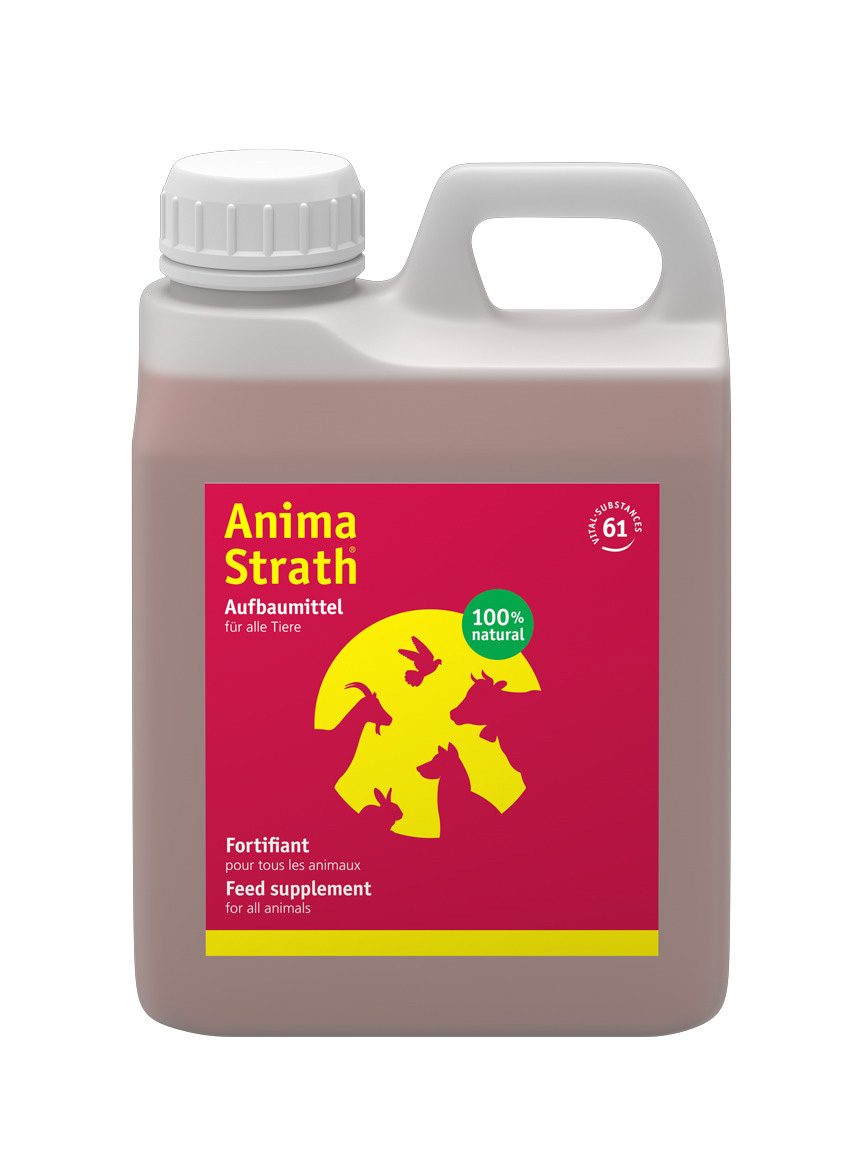 Anima Strath liquido flacone 1 lt