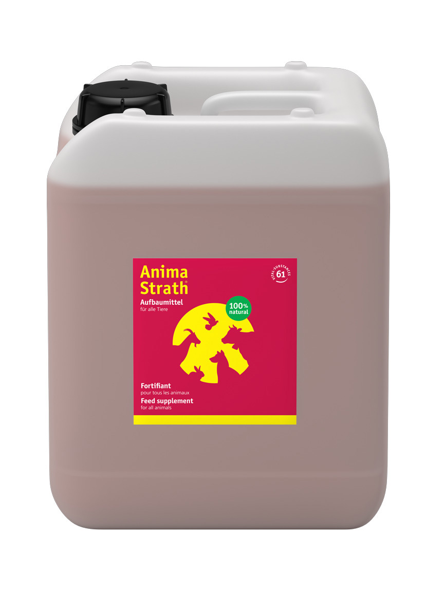 Anima Strath liquido tanica 5 lt
