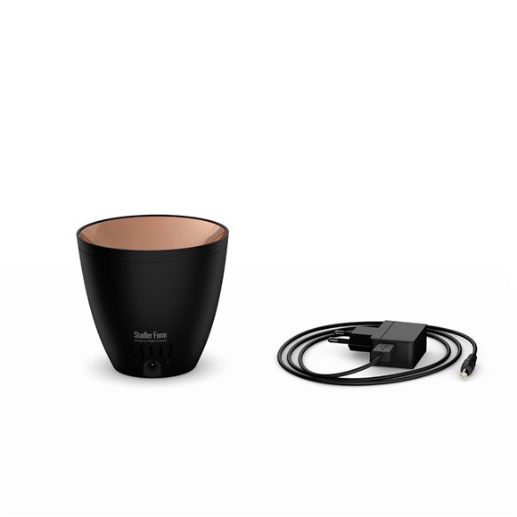 Image of Aromalife Zoe Aromavernebler Amber Light schwarz