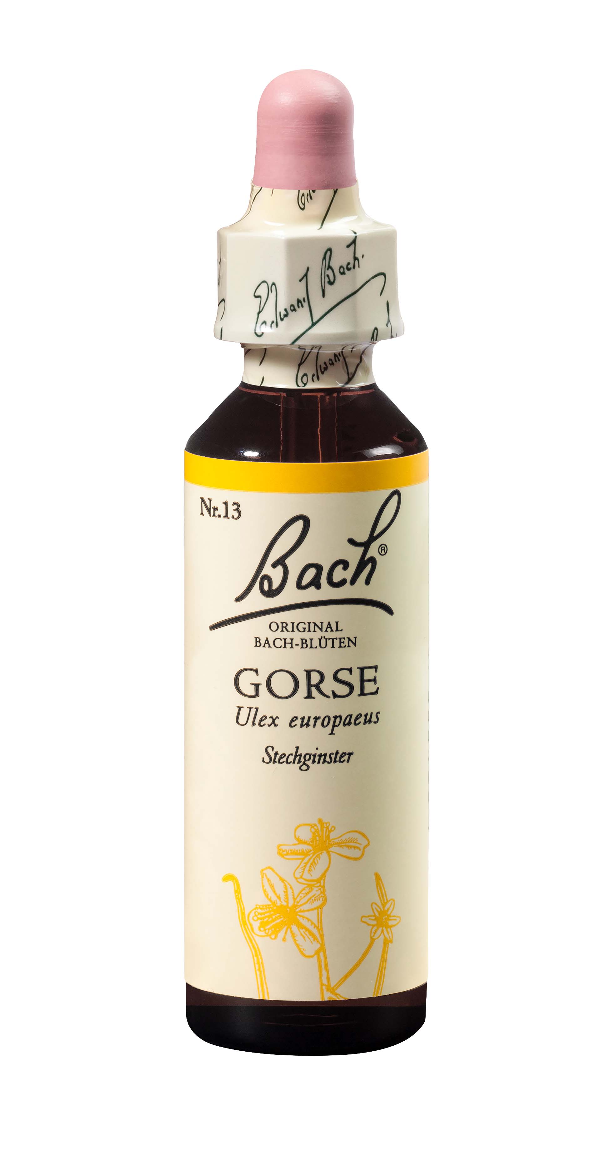 Bach fleurs de Bach original gorse numéro 13 20 ml