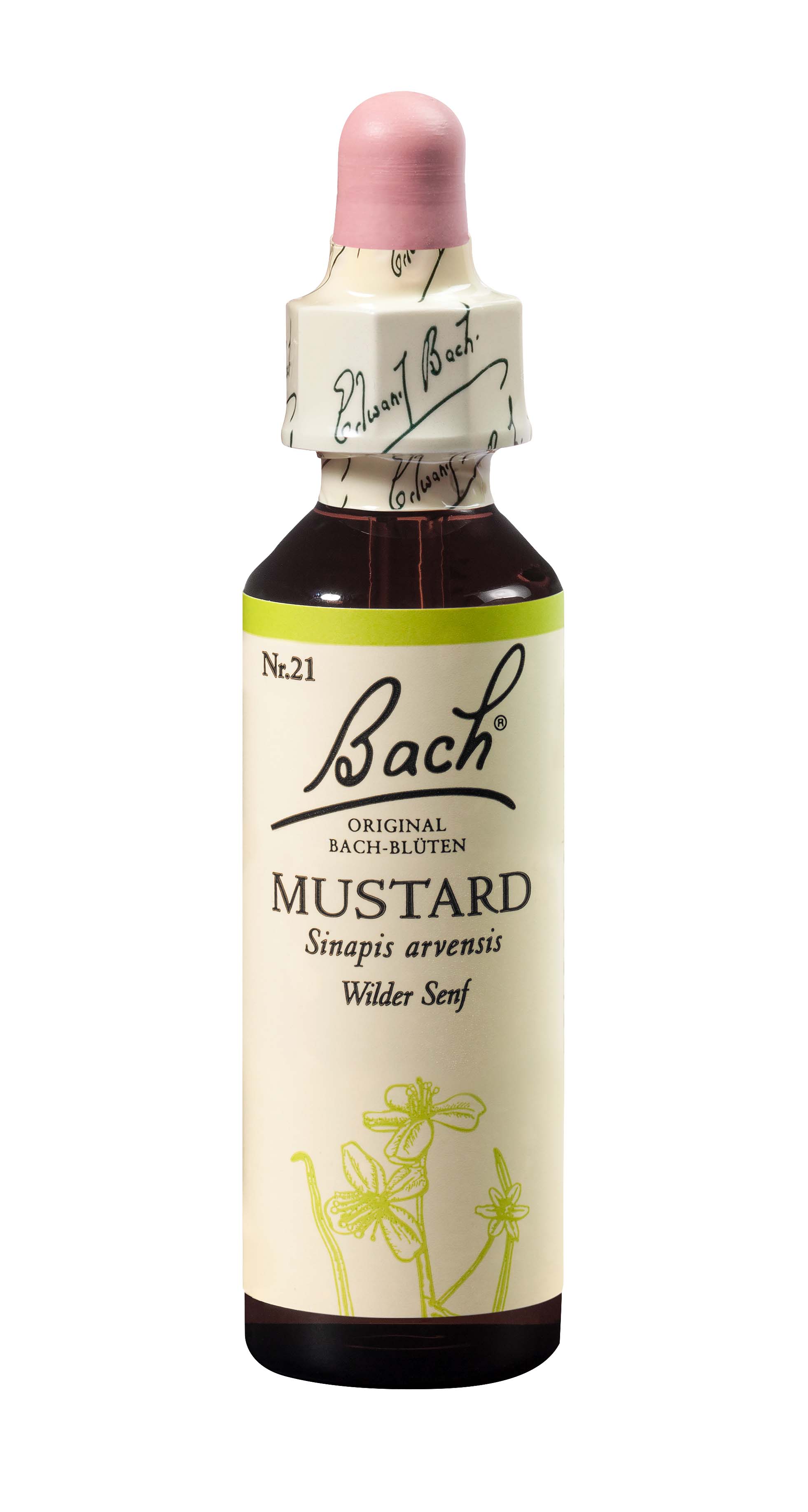 Bach Bachblüten Original Mustard Nummer 21 20 ml