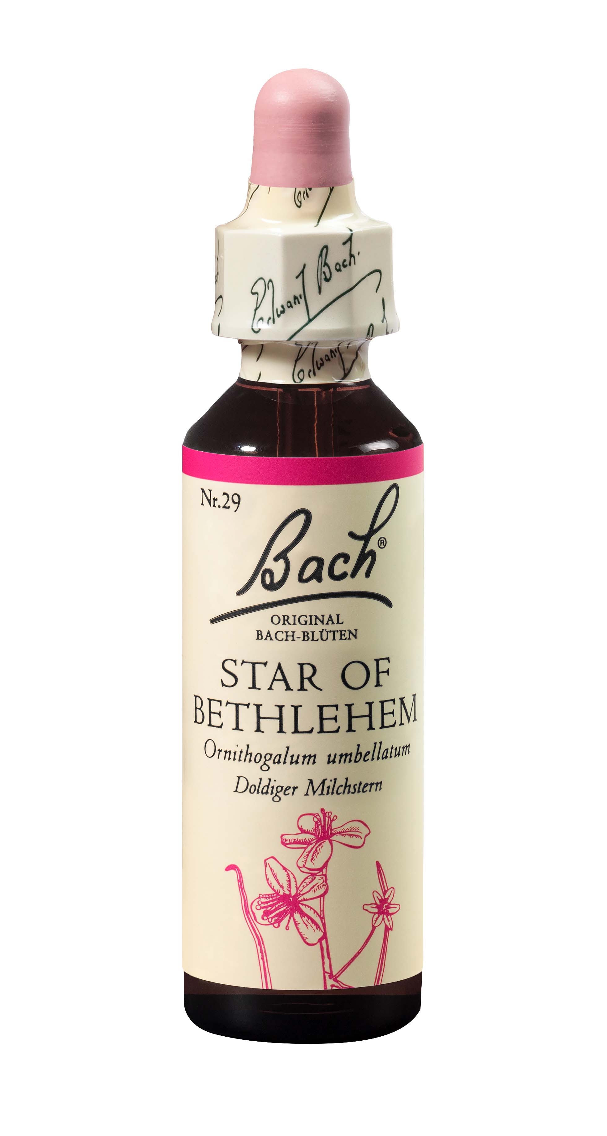 Bach fleurs de Bach original star of bethlehem numéro 29 20 ml