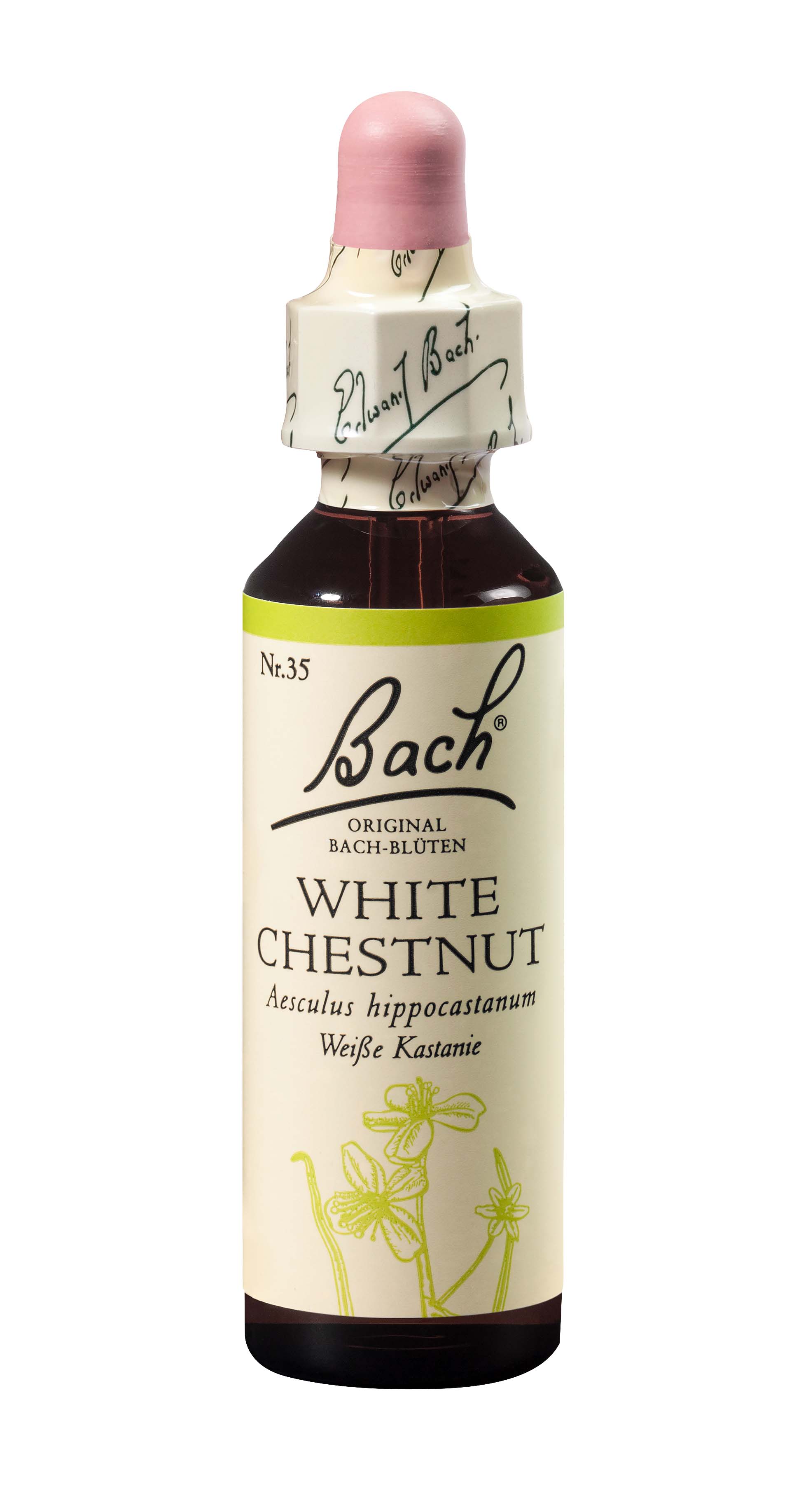 Bach fleurs de Bach original white chestnut numéro 35 20 ml