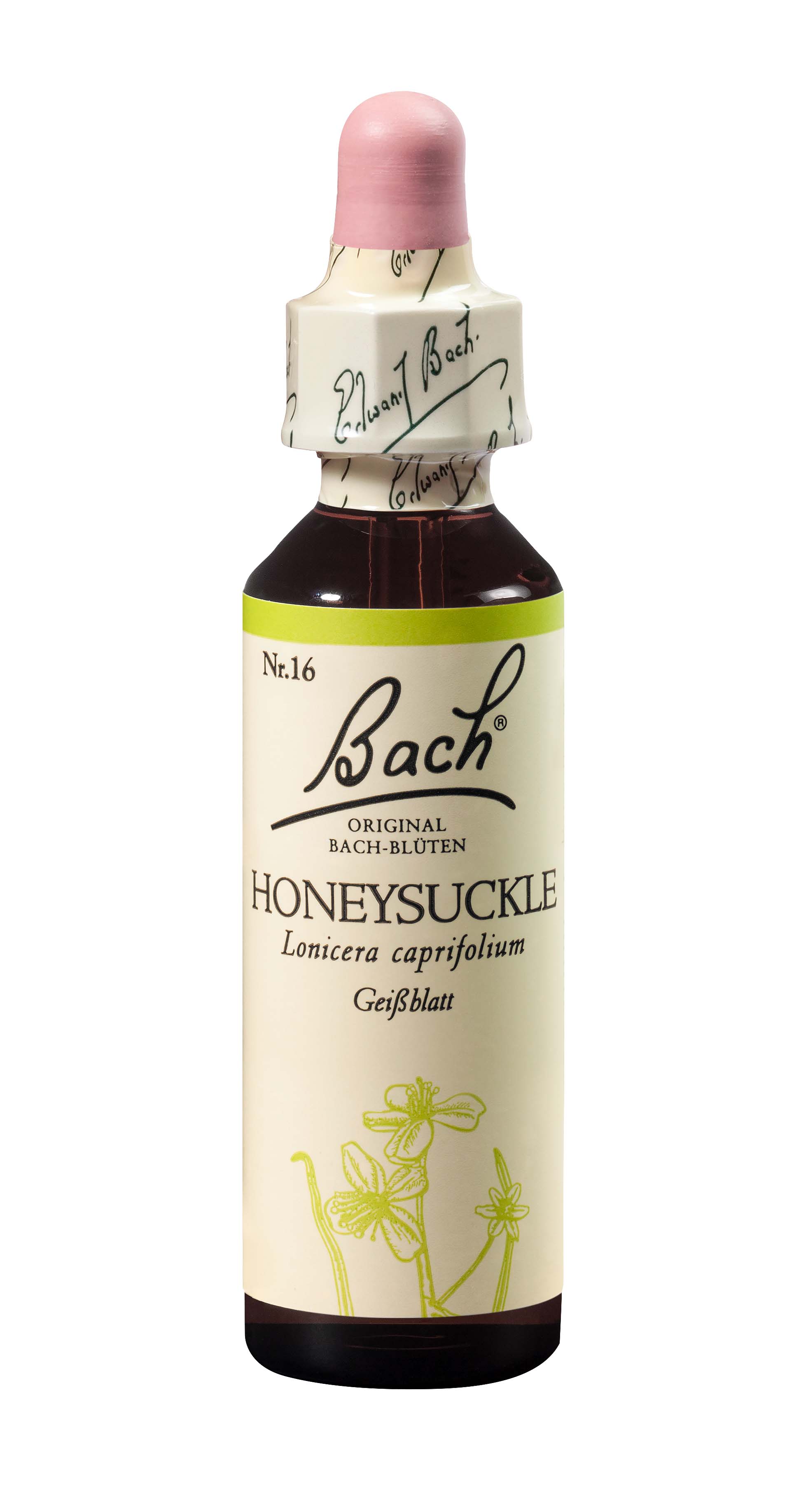 Image of Bach-Blüten Original Honeysuckle No16 20 ml