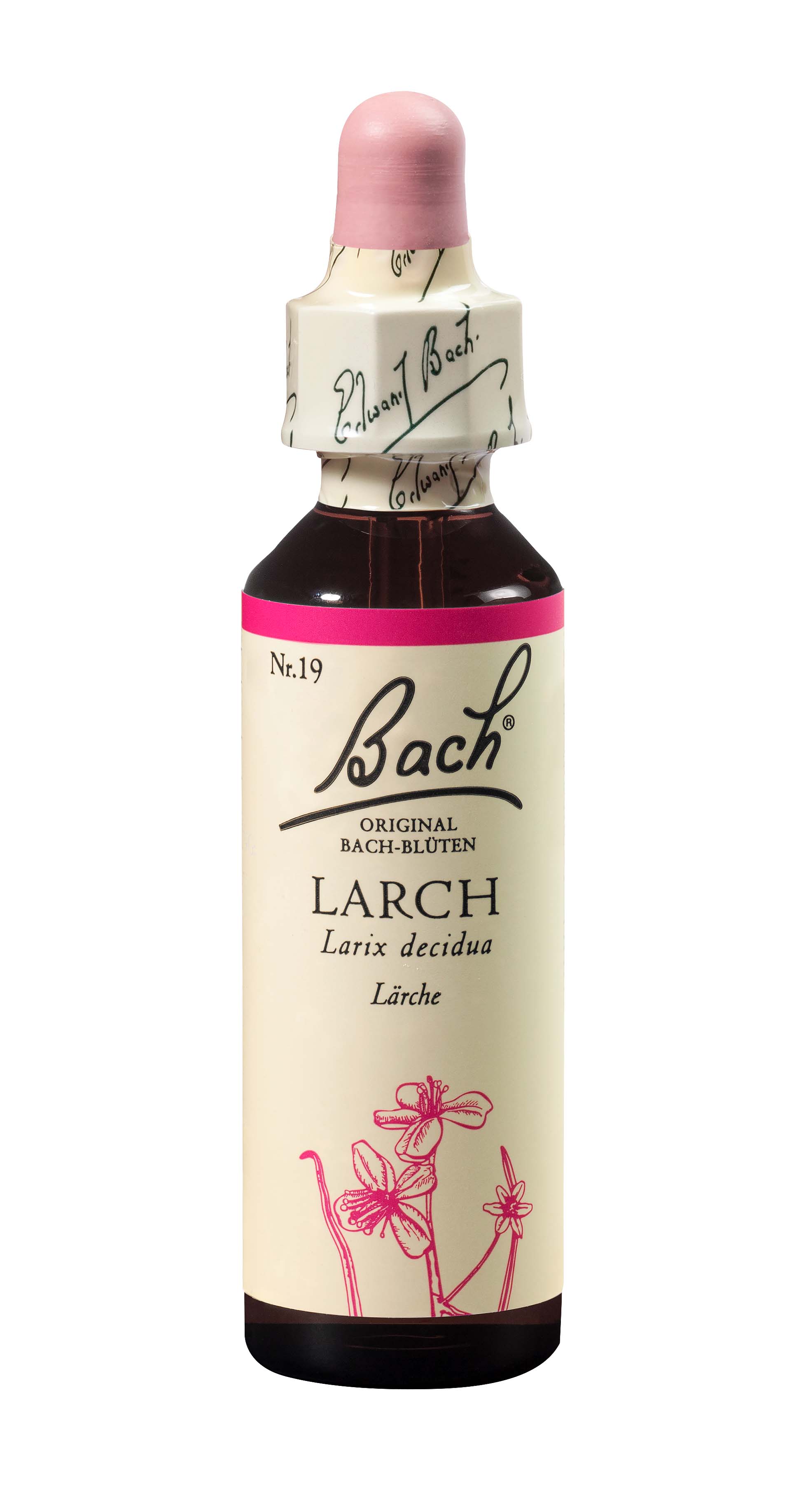 Image of Bach-Blüten Original Larch No19 20 ml