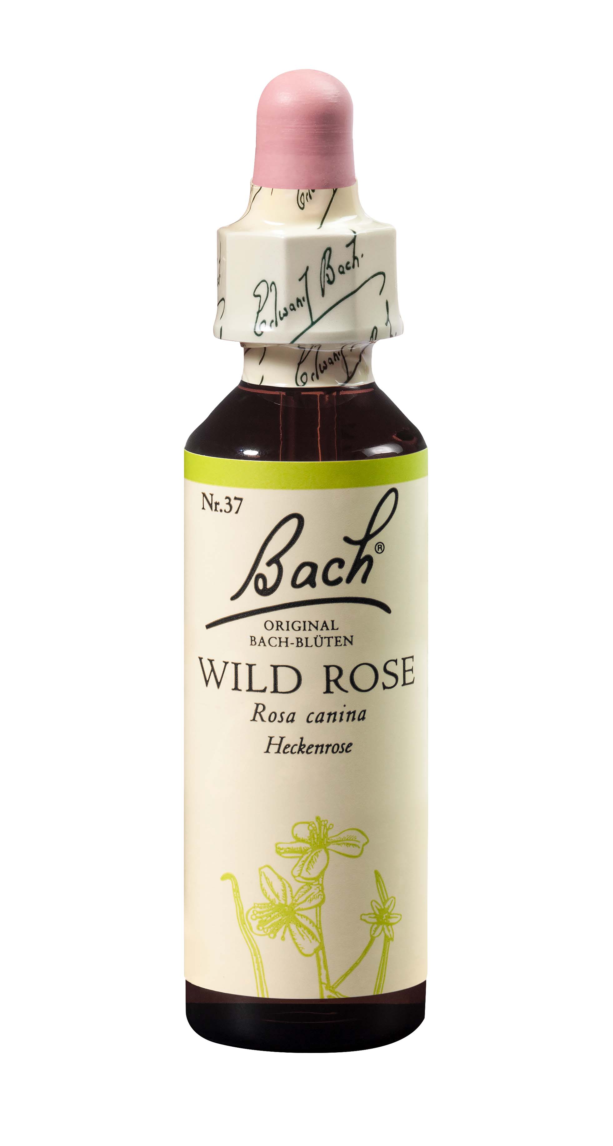 Image of Bach-Blüten Original Wild Rose No37 20 ml