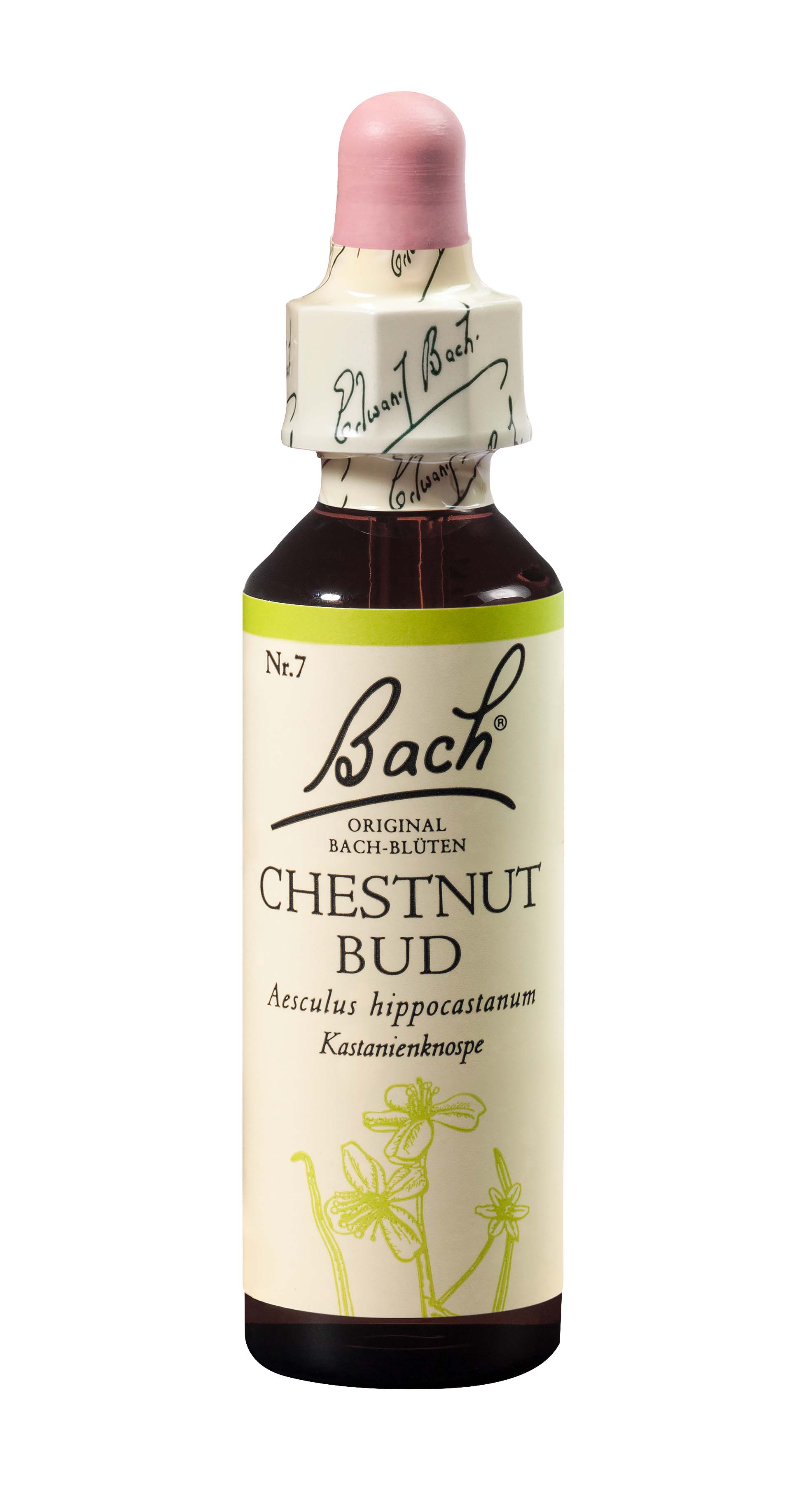 Fleurs de Bach original chestnut bud no07 20 ml