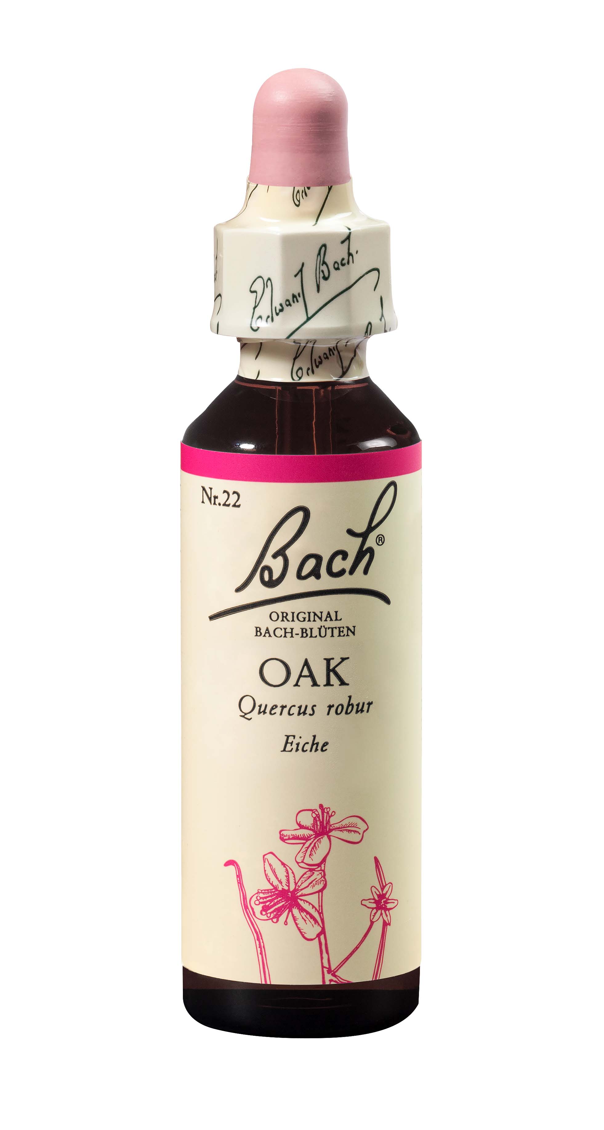 Image of Bach-Blüten Original Oak No22 20 ml