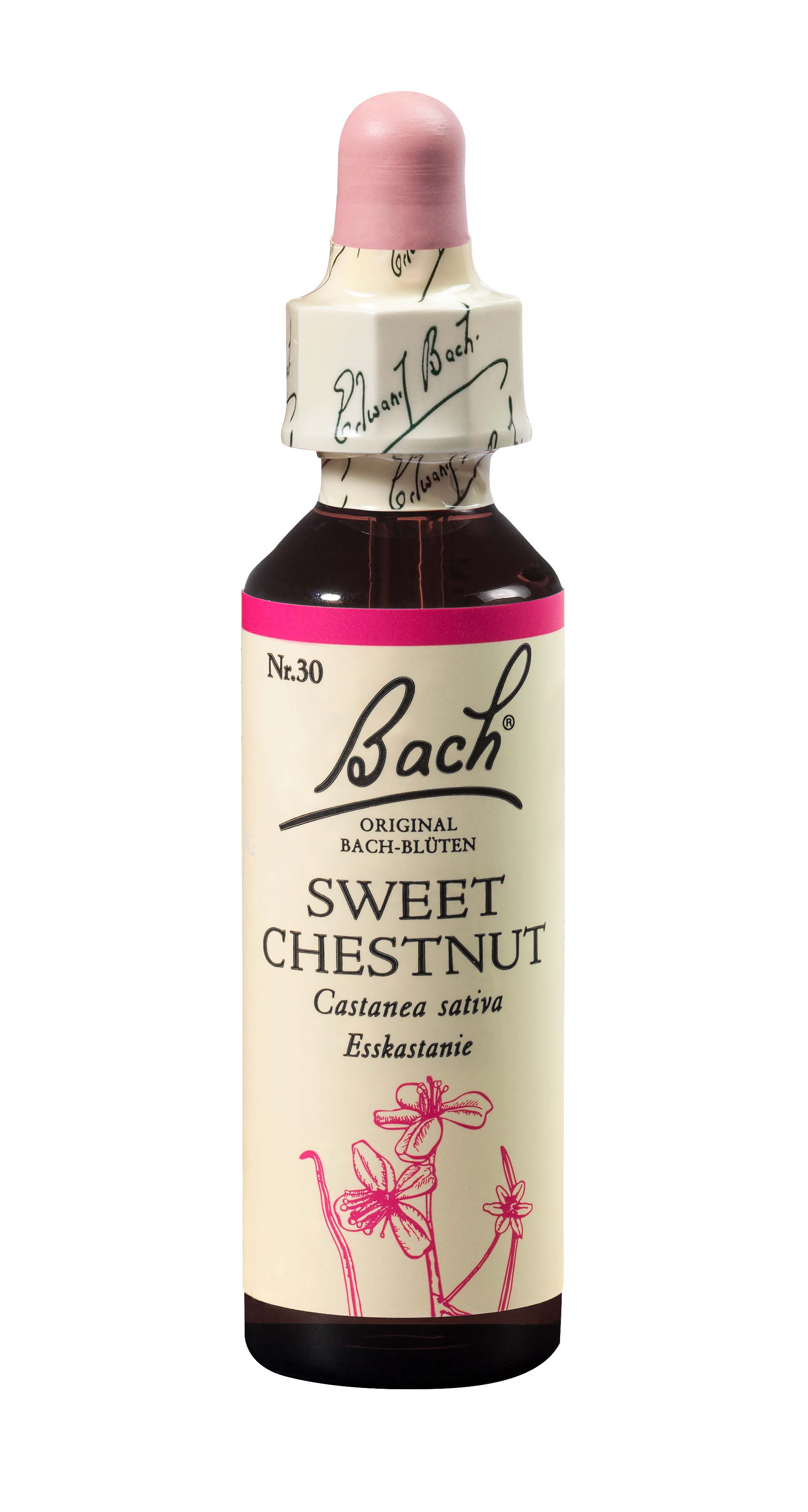 Image of Bach-Blüten Original Sweet Chestnut No30 20 ml