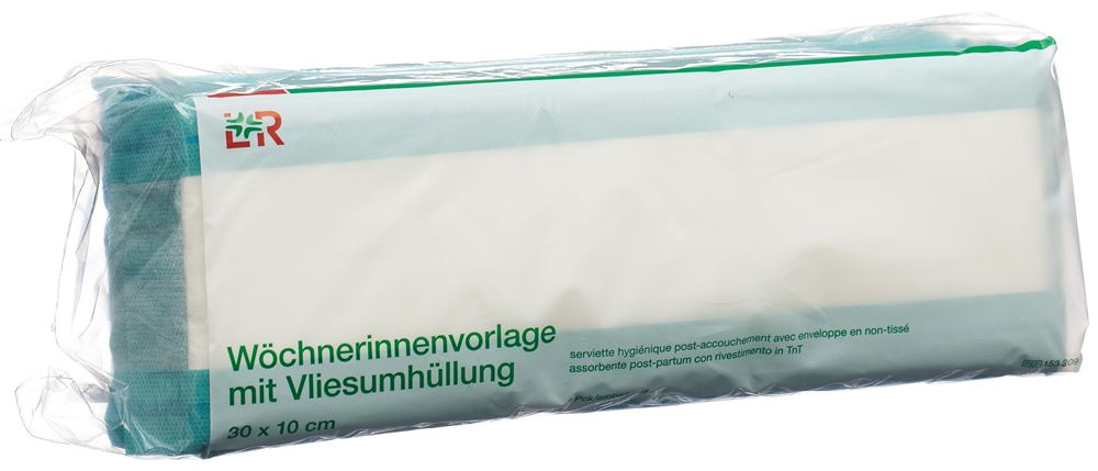 Image of Bastos Viegas Wöchnerinnenvorlage 30x10cm Vlies Btl 10 Stk