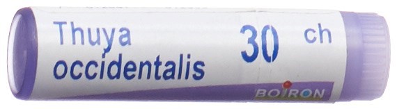 Image of Boiron Thuya occidentalis Glob CH 30 1 Dos