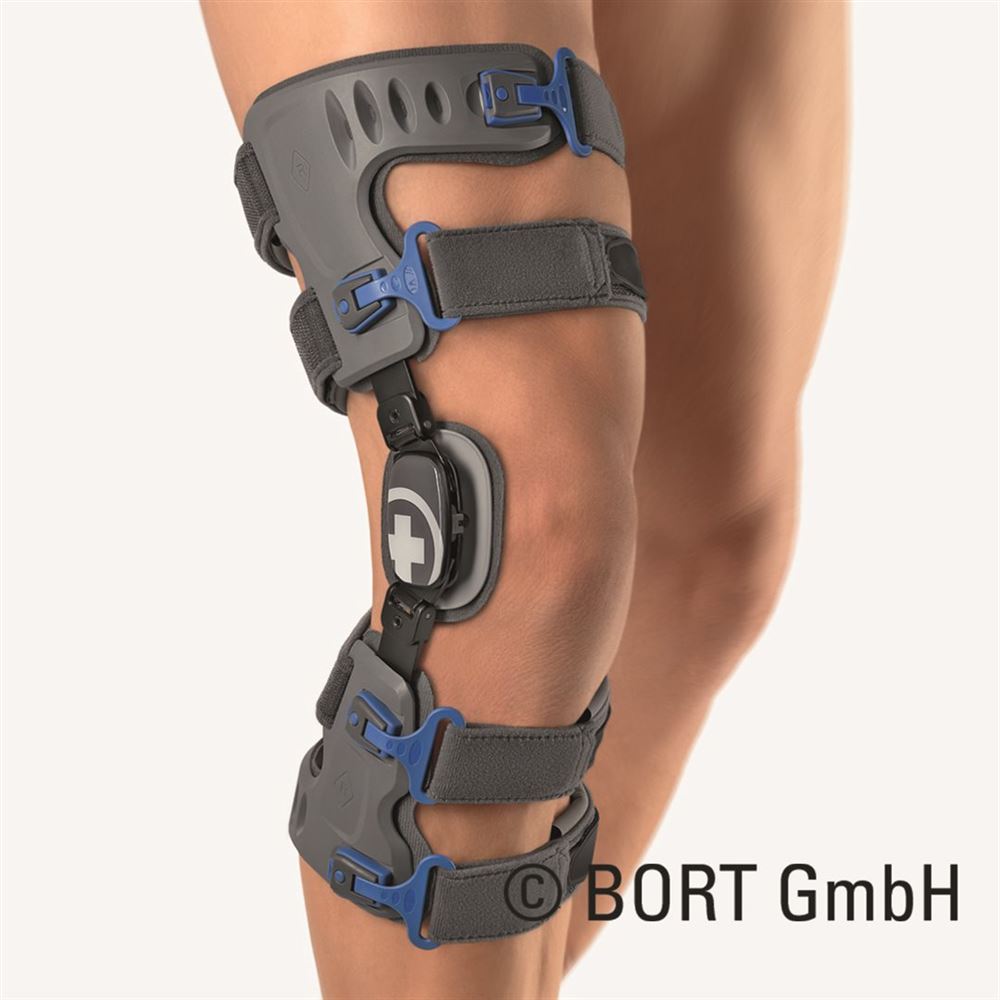Bort OA-Xpress modèle A gris