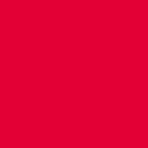 Elsa fodera per cuscino 33x9cm velluto rosso