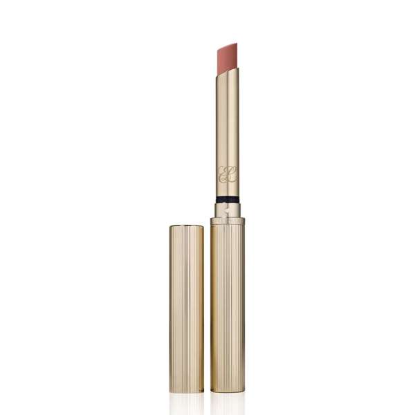 Estée Lauder Pure Color Explicit Ultra Matte n. 101