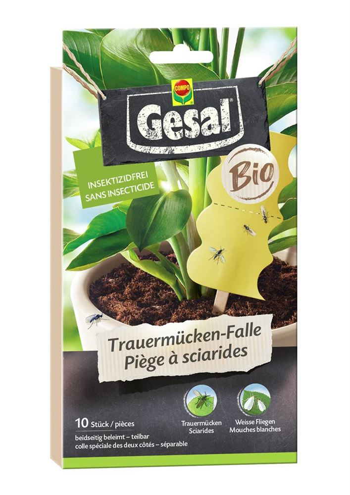 Image of Gesal Trauermücken-Falle Bio 10 Stk