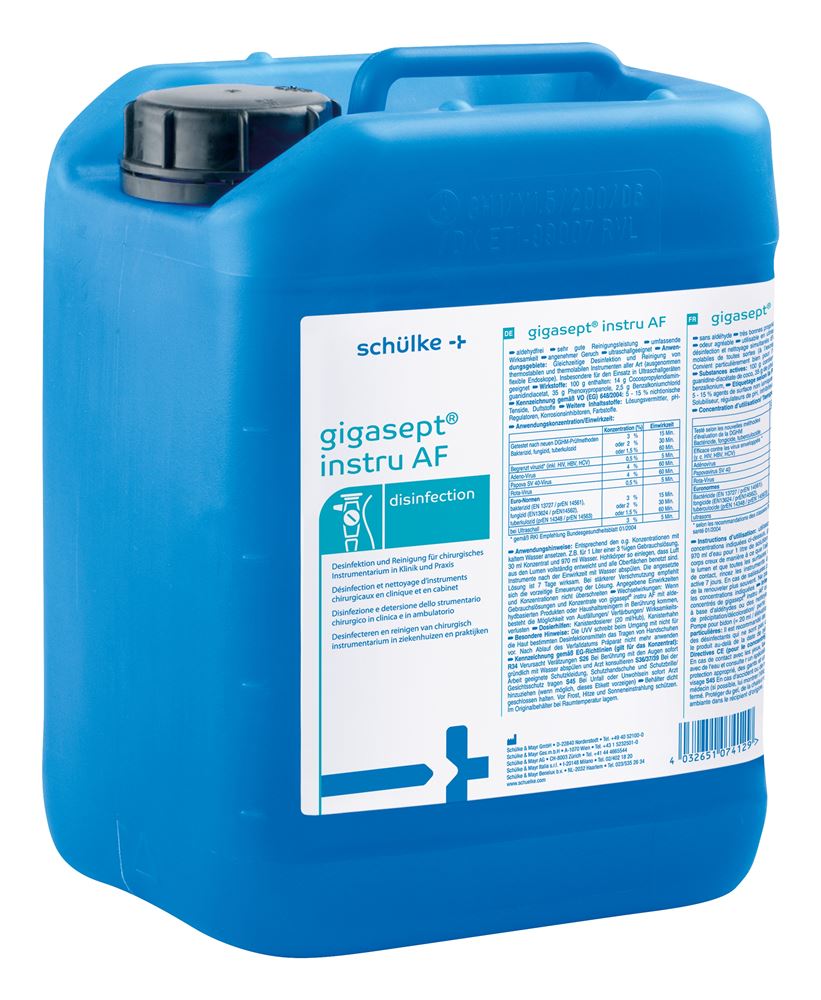 gigasept instru AF disinfettante 5 lt