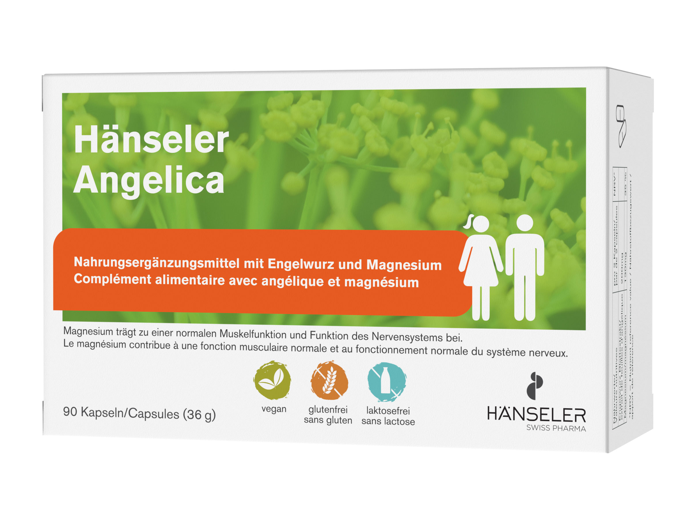 Hänseler Angelica Kapseln 90 Stück Vitamine Prävention Nahrungsergänzungsmittel Engelwurz Magnesium Muskeln Nervensystem