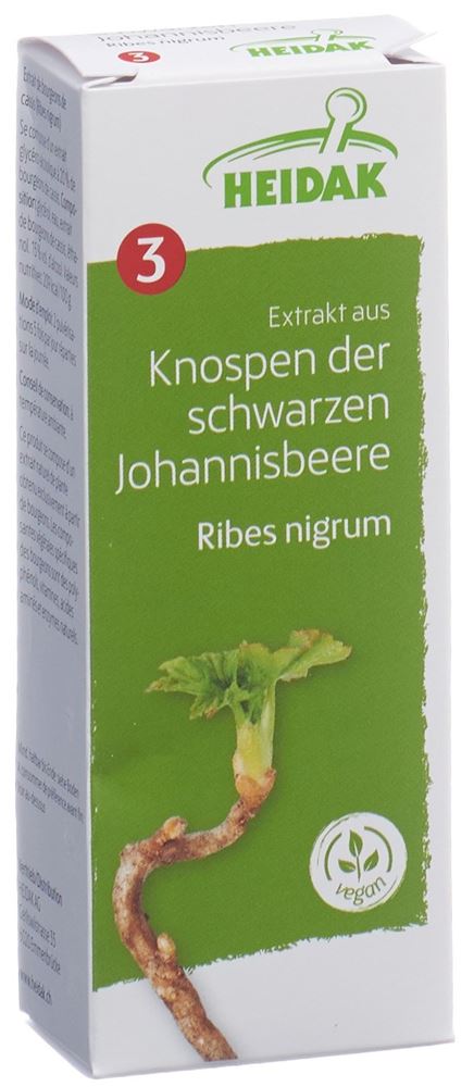 Image of Heidak Knospe schwarze Johannisbeere Ribes nigrum Glyc Maz Fl 30 ml