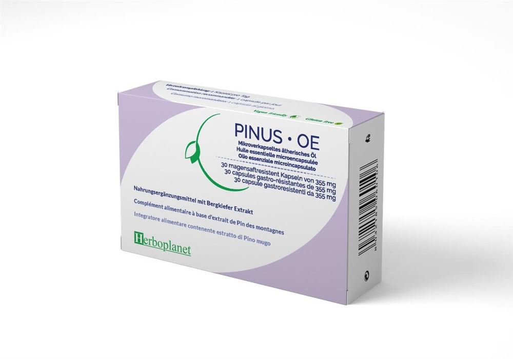 Herboplanet Pinus OE Kaps 355 mg Blist 30 Stk