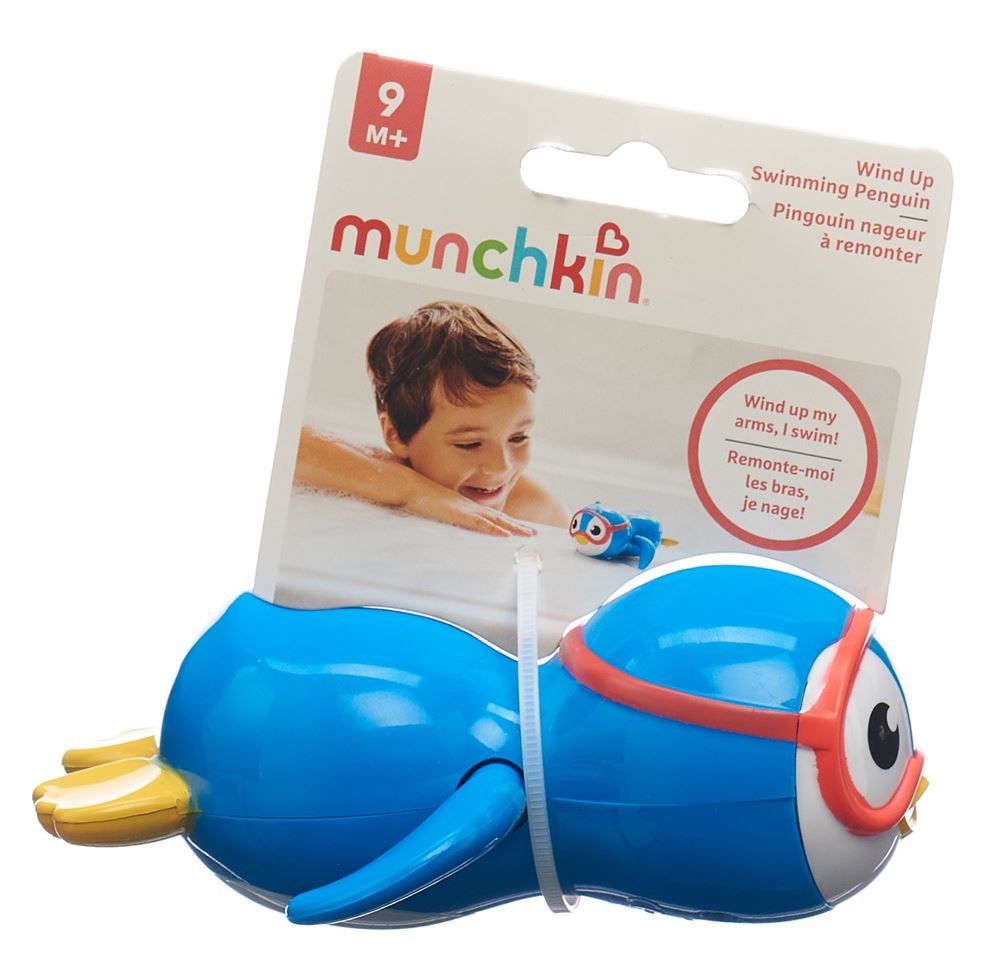 Munchkin pinguino nuotatore