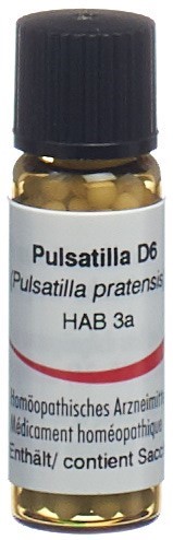 Image of Omida Pulsatilla Glob D 6 2 g
