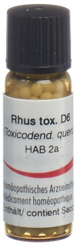 Image of Omida Rhus toxicodendron Glob D 6 2 g