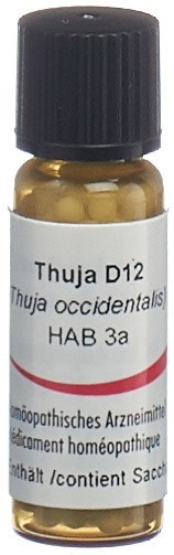 Image of Omida Thuja Glob D 12 2 g