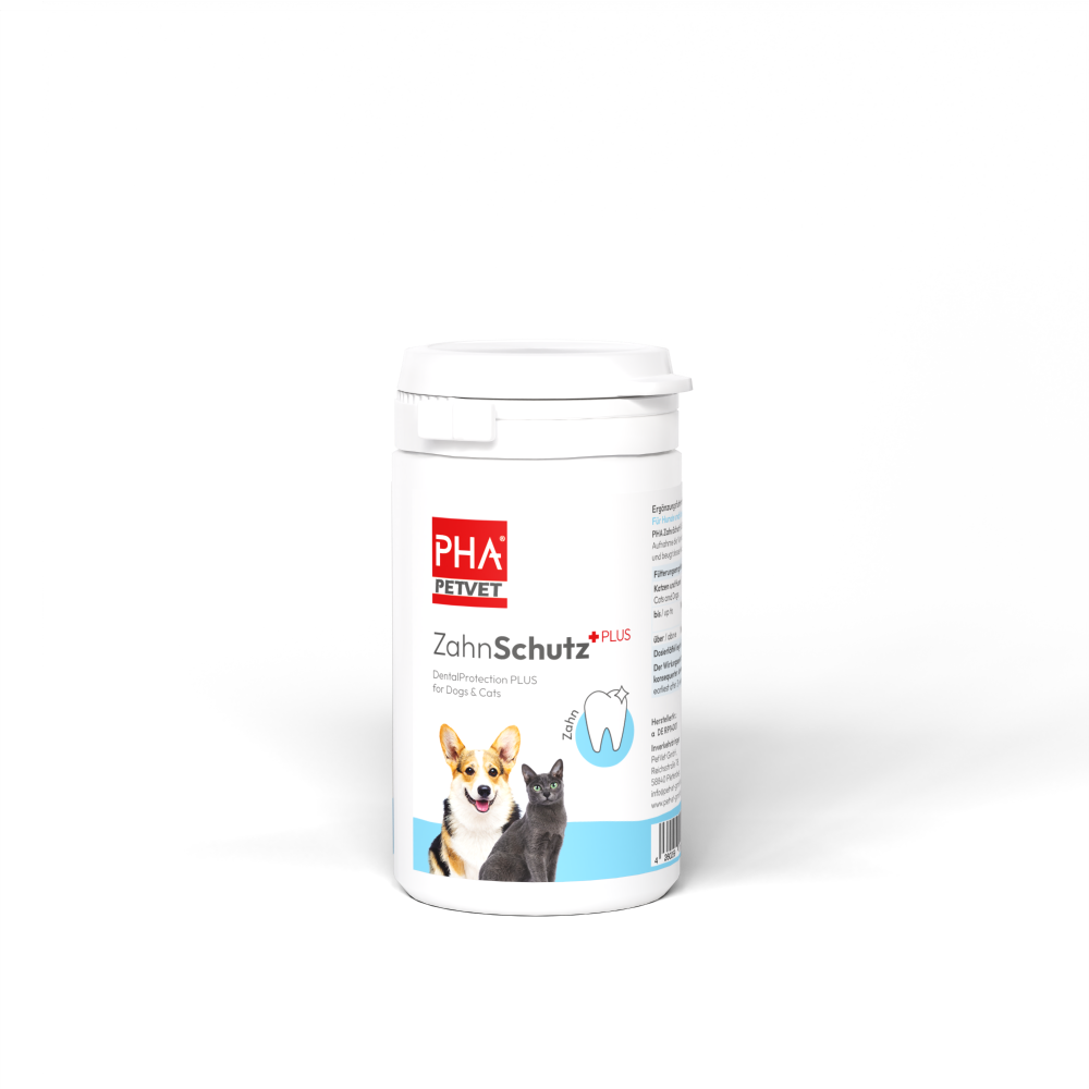 PHA protège-dents plus pdr pour chiens et chats bte 60 g
