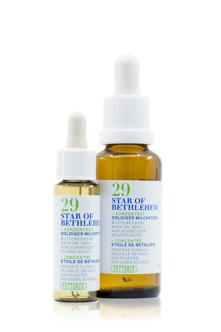 Image of Phytomed Bachblüten No29 Doldiger Milchstern Fl 10 ml