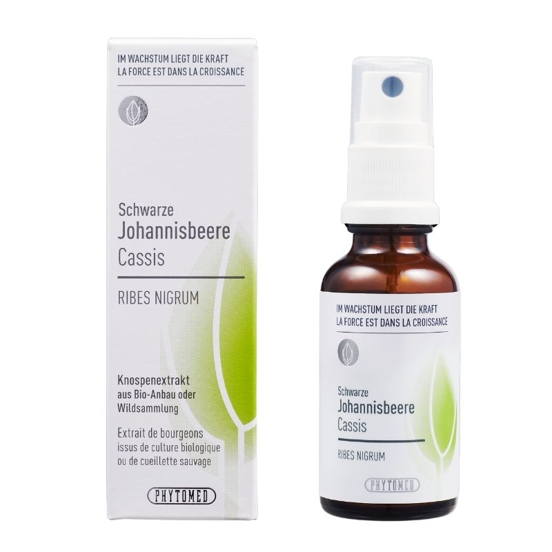 Image of Phytomed Knospenextrakt Schwarze Johannisbeere Spr 30 ml