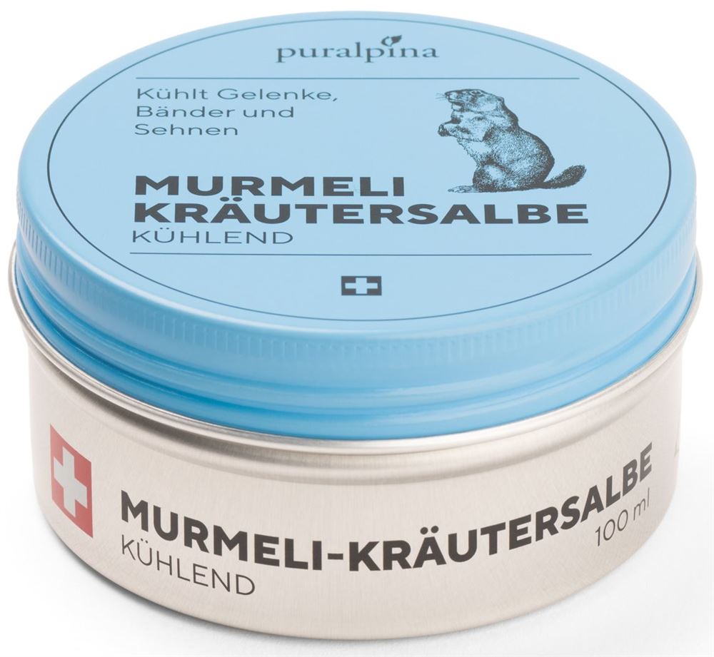 puralpina Murmeli-Kräutersalbe kühlend Ds 100 ml