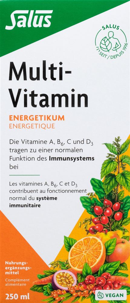 Salus Multi-Vitamines énergétique fl 250 ml