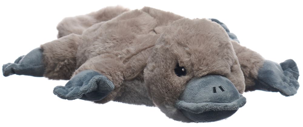 Warmies peluche réchauffante ornithorynque rembourrage à la lavande removable pack