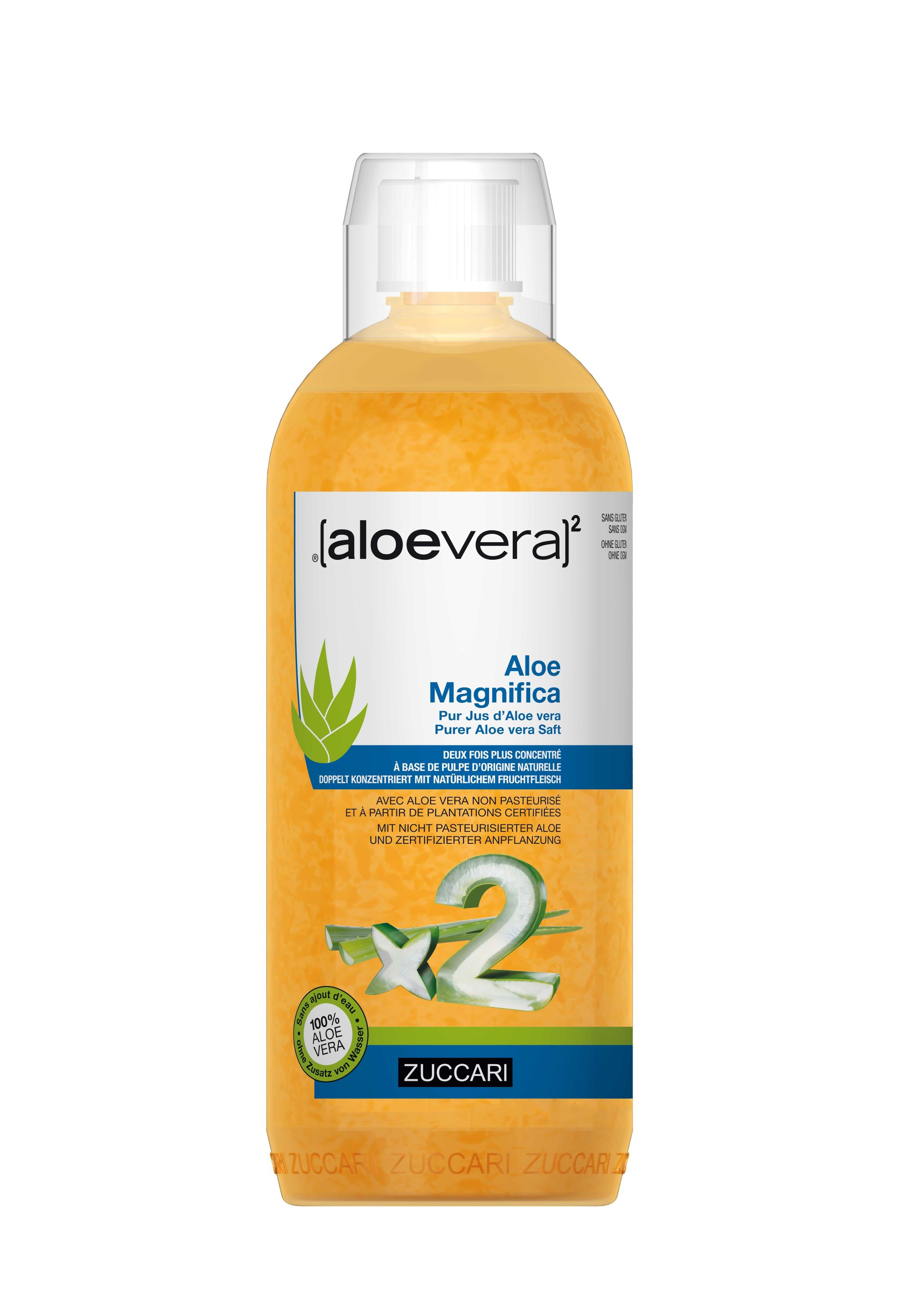 [aloevera]² Aloe Magnifica