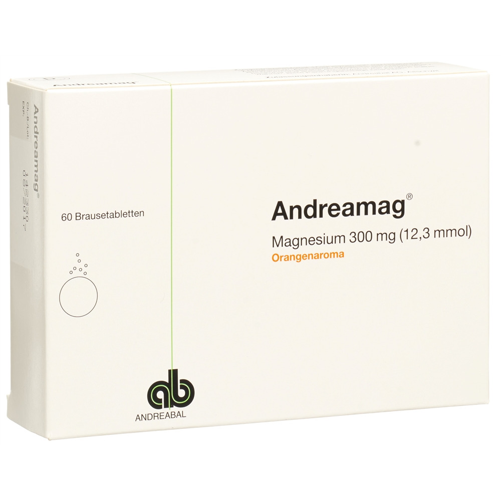 ANDREAMAG Brausetabl 300 mg mit Orangenaroma Ds 60 Stk