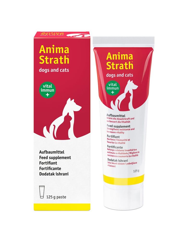 STRATH dogs and cats