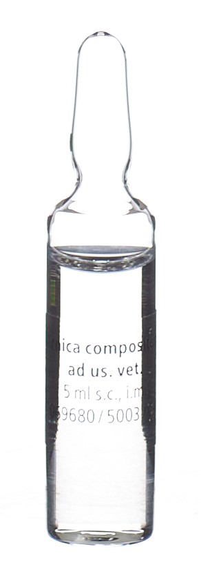 ARNICA Heel, Bild 3 von 3