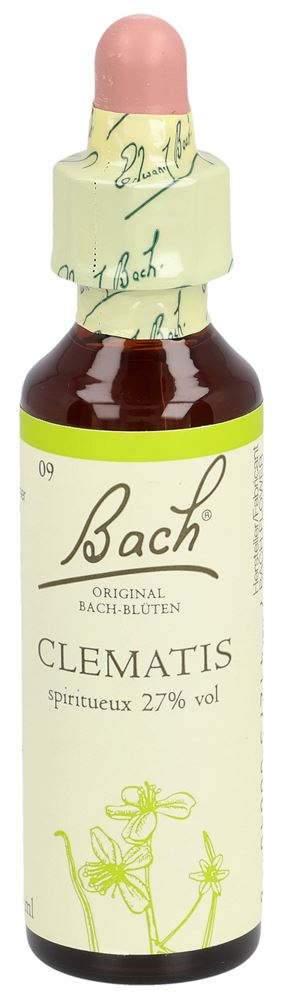 Fleurs de Bach Bachblüten Original