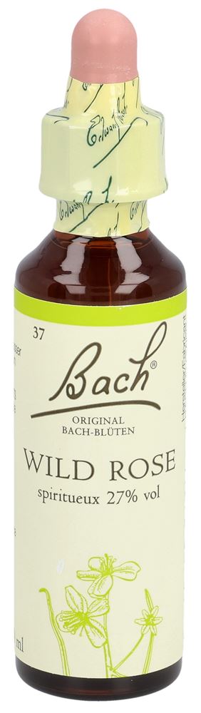 Fleurs de Bach Bachblüten Original