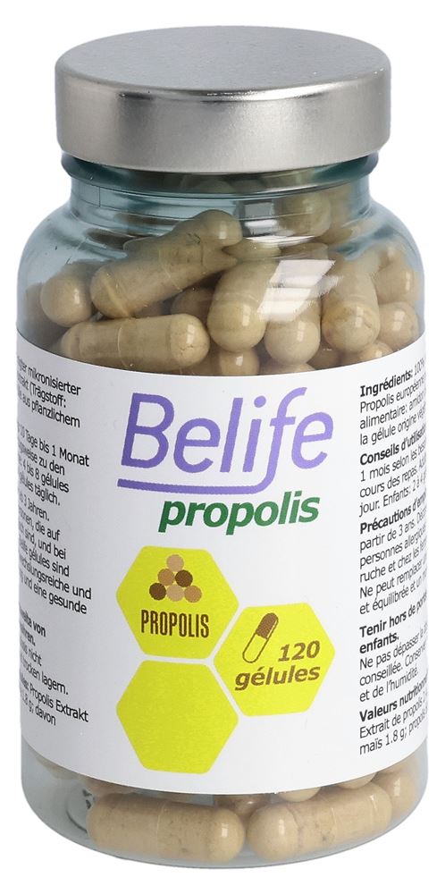 Belife Propolis, Hauptbild