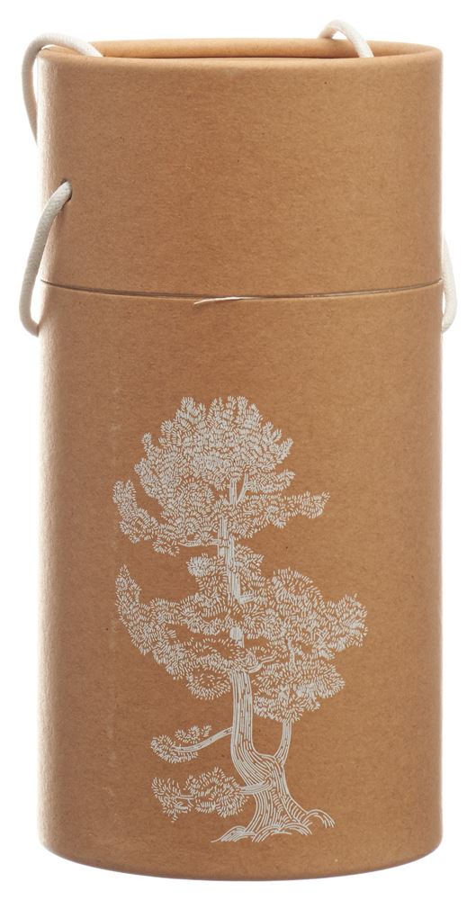 BERG&KRAFT Pinus Cembra bois de parfum Globe