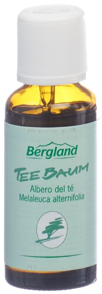 Bergland Teebaum Öl, Hauptbild