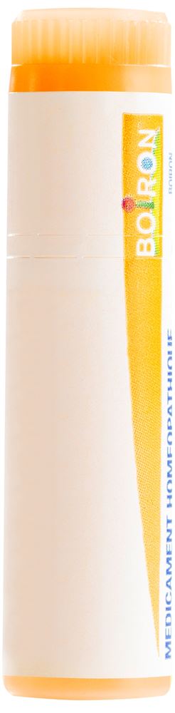 Boiron arnica montana 15 CH