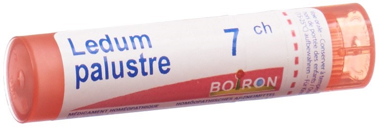 Boiron ledum palustre 7 CH, image principale