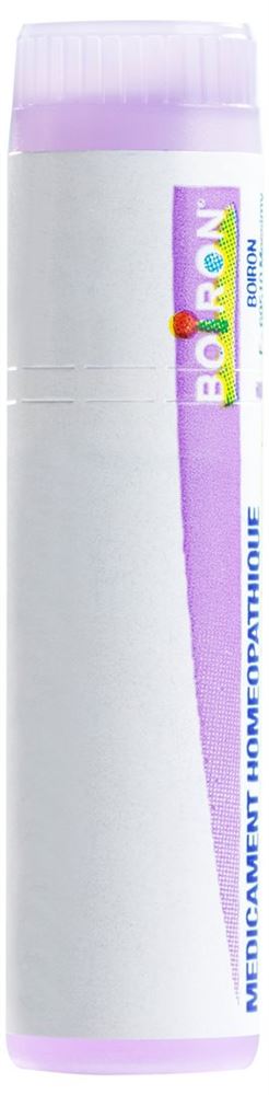 Boiron Rhus toxicodendron 30 CH