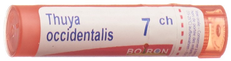 Boiron Thuya occidentalis 7 CH, Hauptbild